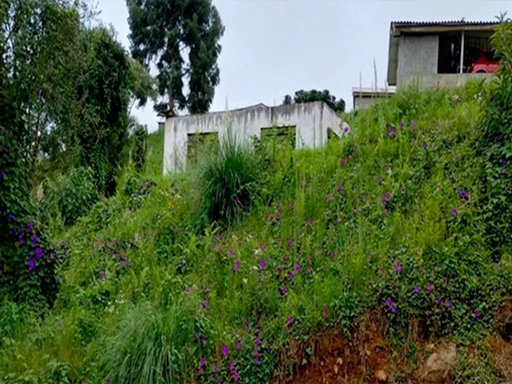 Parte Ideal (50%) sobre Terreno 900 m² (com construção inacabada) - Calmon - SC — foto 5