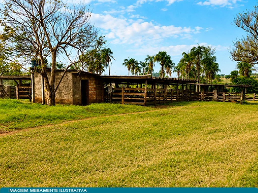 Imóvel Rural 178 ha (Fazenda el Shaday Vista Alegre do Corrente) - Itarumã - GO — foto 4