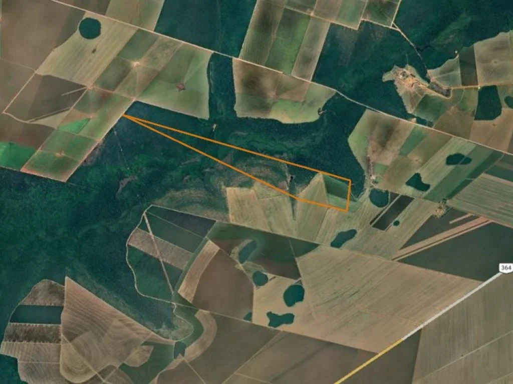 Imóvel Rural 215 ha (Fazenda Ventura Agro) - Campo Novo do Parecis - MT — foto 3