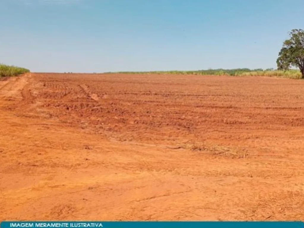 Imóvel Rural 20 ha (Fazenda Cachoeira) - José Bonifácio - SP — foto 3