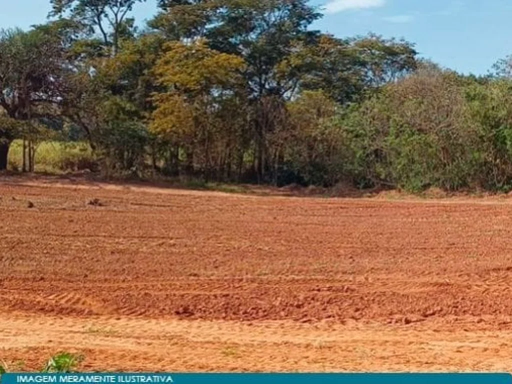 Imóvel Rural 20 ha (Fazenda Cachoeira) - José Bonifácio - SP — foto 4