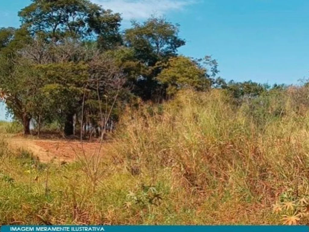 Imóvel Rural 20 ha (Fazenda Cachoeira) - José Bonifácio - SP — foto 5