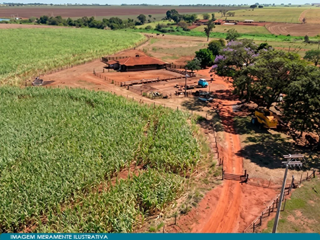 Imóvel Rural 16 ha (Chácara Santa Quitéria) - Guaíra - SP — foto 2