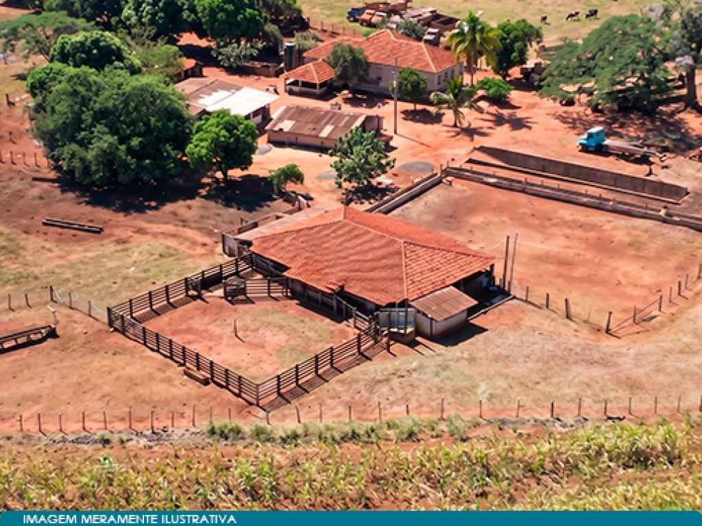 Imóvel Rural 16 ha (Chácara Santa Quitéria) - Guaíra - SP — foto 4