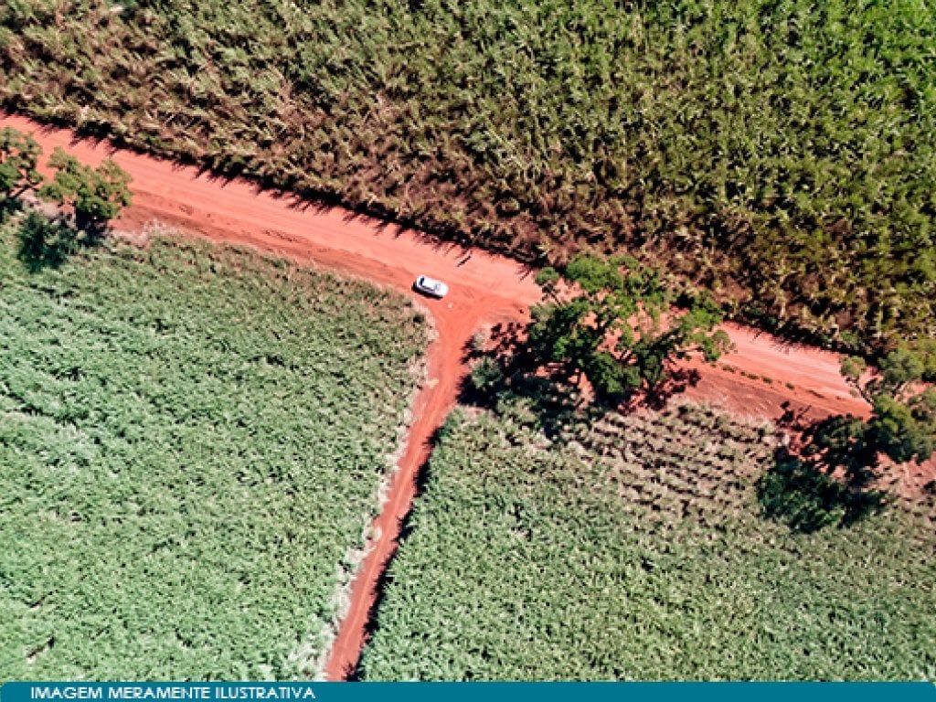 Imóvel Rural 59 ha (Estância Palmital) - Guaíra - SP — foto 2