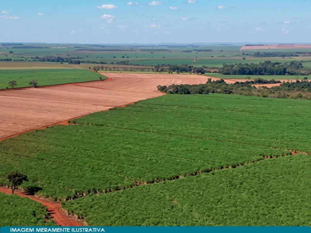 Imóvel Rural 59 ha (Estância Palmital) - Guaíra - SP — foto 3