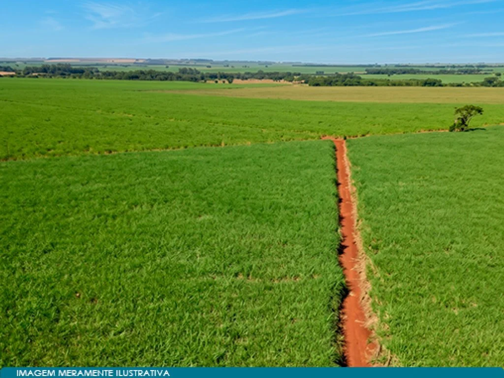 Imóvel Rural 59 ha (Estância Palmital) - Guaíra - SP — foto 4