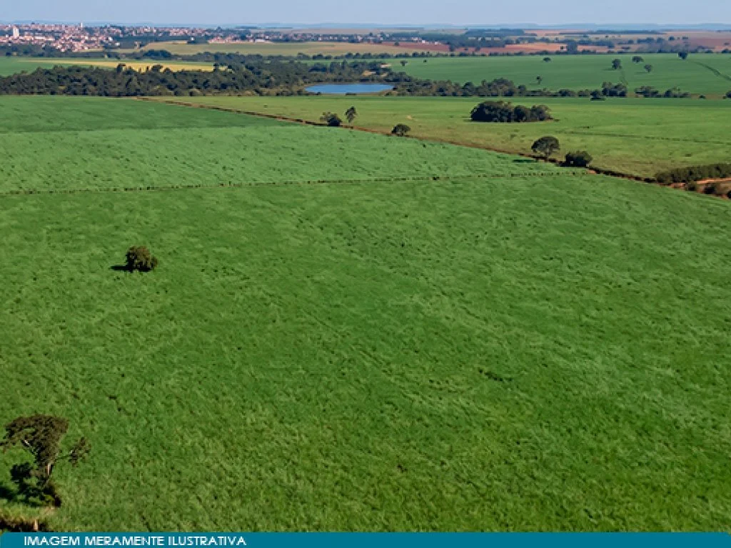 Imóvel Rural 59 ha (Estância Palmital) - Guaíra - SP — foto 5