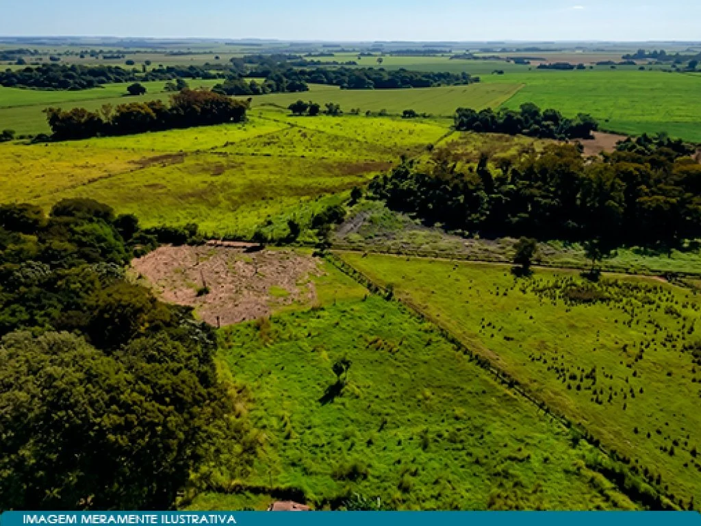Imóvel Rural 57 ha (Fazenda Santa Helena) - Guaíra - SP — foto 2