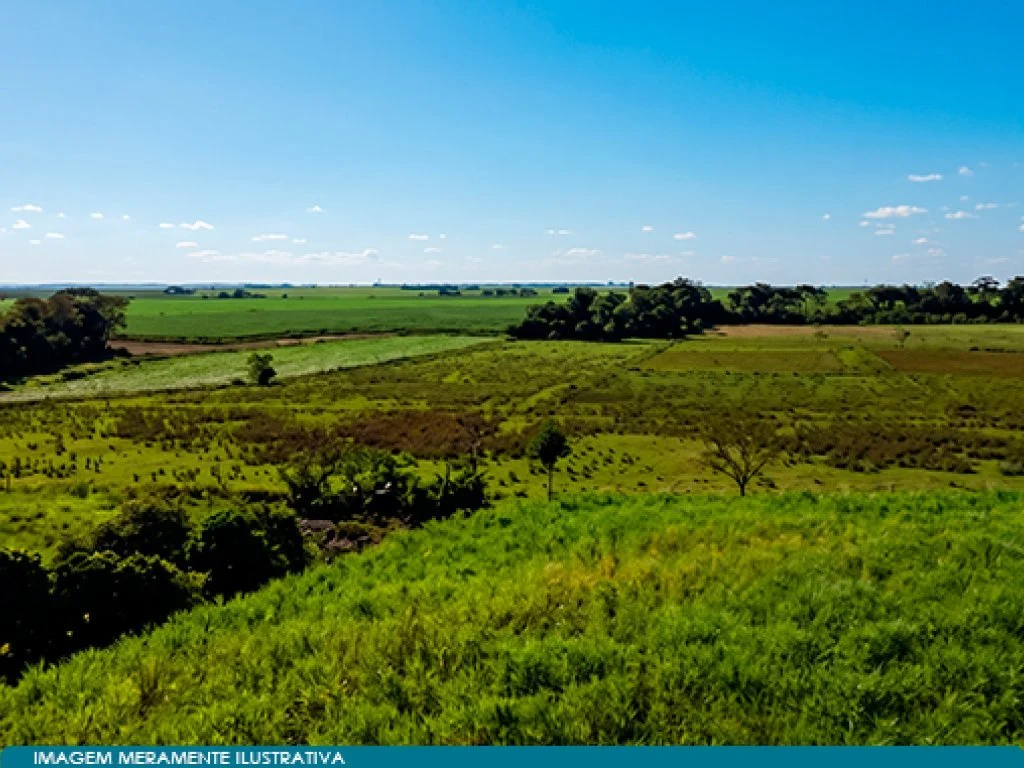 Imóvel Rural 57 ha (Fazenda Santa Helena) - Guaíra - SP — foto 3