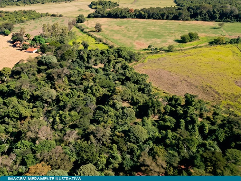 Imóvel Rural 57 ha (Fazenda Santa Helena) - Guaíra - SP — foto 4