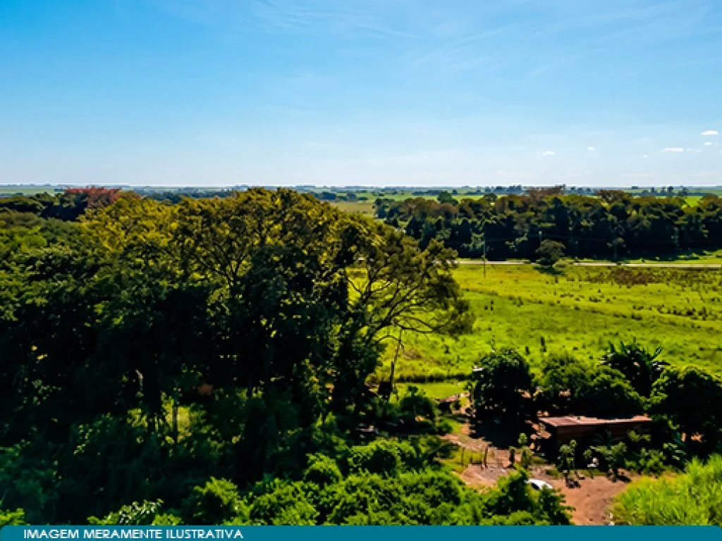 Imóvel Rural 57 ha (Fazenda Santa Helena) - Guaíra - SP — foto 5