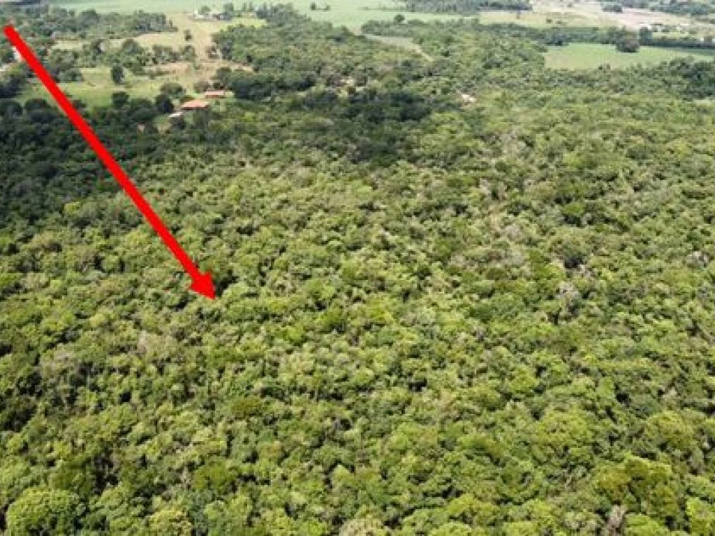 Parte Ideal sobre Imóvel Rural com 9 ha (Sítio Nossa Senhora Aparecida) - Assis - SP — foto 2