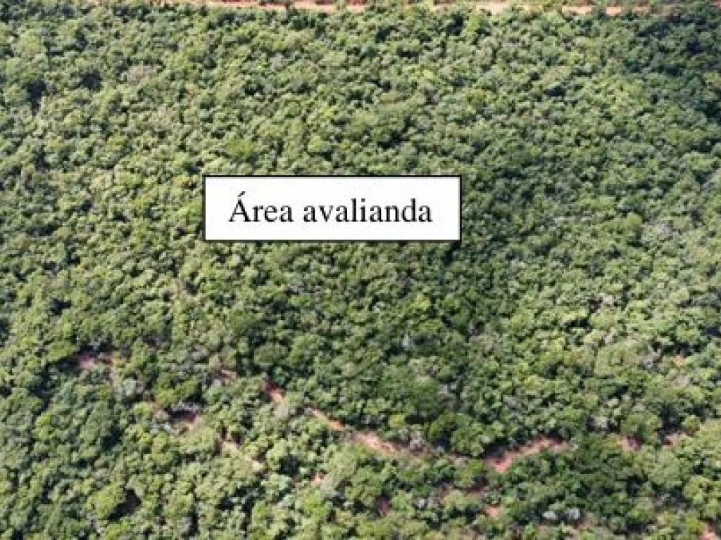 Parte Ideal sobre Imóvel Rural com 9 ha (Sítio Nossa Senhora Aparecida) - Assis - SP — foto 3