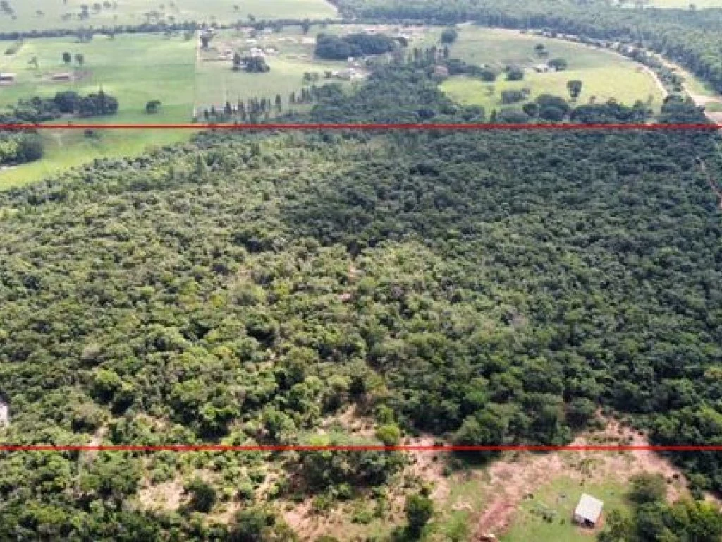 Parte Ideal sobre Imóvel Rural com 9 ha (Sítio Nossa Senhora Aparecida) - Assis - SP — foto 4