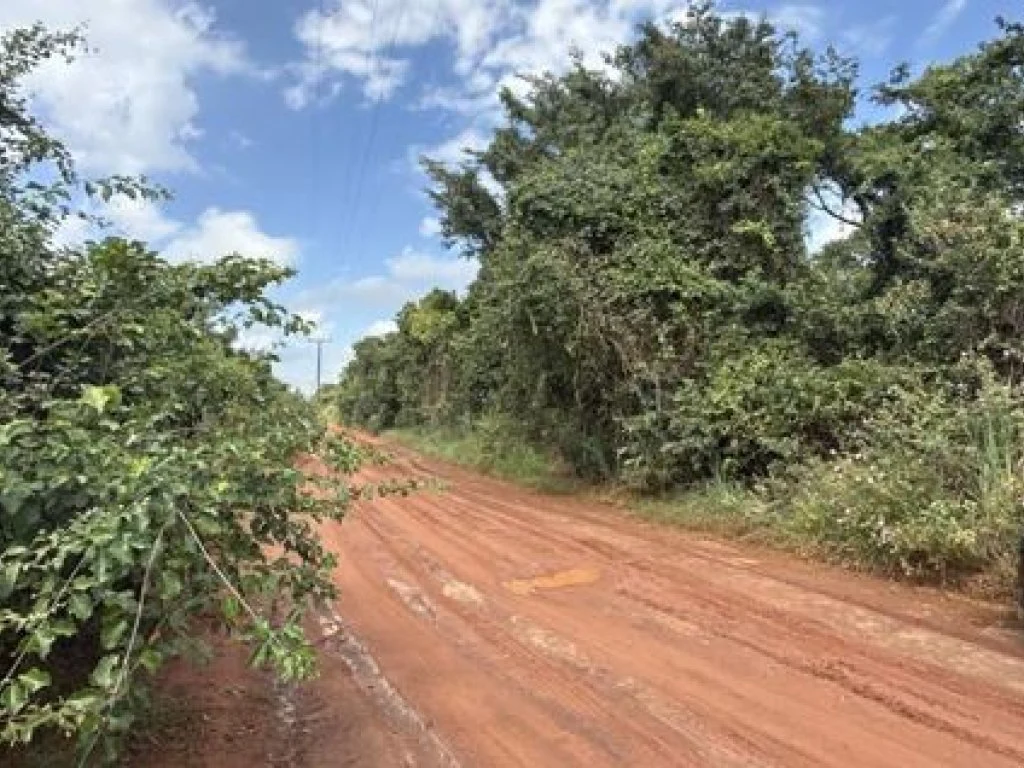 Parte Ideal sobre Imóvel Rural com 9 ha (Sítio Nossa Senhora Aparecida) - Assis - SP — foto 5
