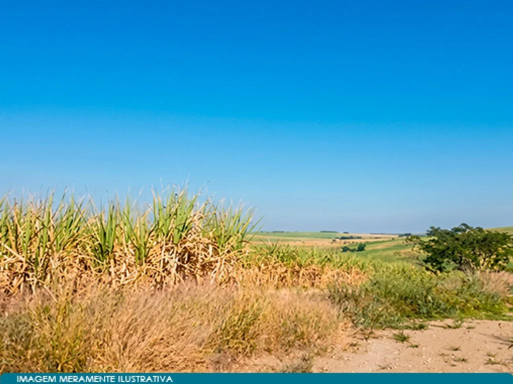Imóvel Rural 47 ha (Sítio Trinta e Cinco) - Rio das Pedras - SP — foto 3