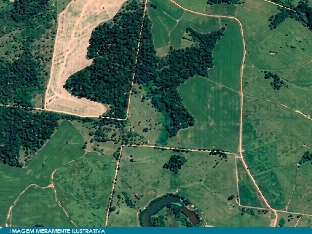 Imóvel Rural 47 ha (Sítio Trinta e Cinco) - Rio das Pedras - SP — foto 4