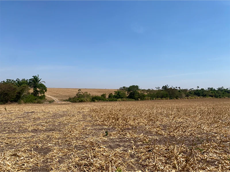 Terreno - Nova Guarita - MT