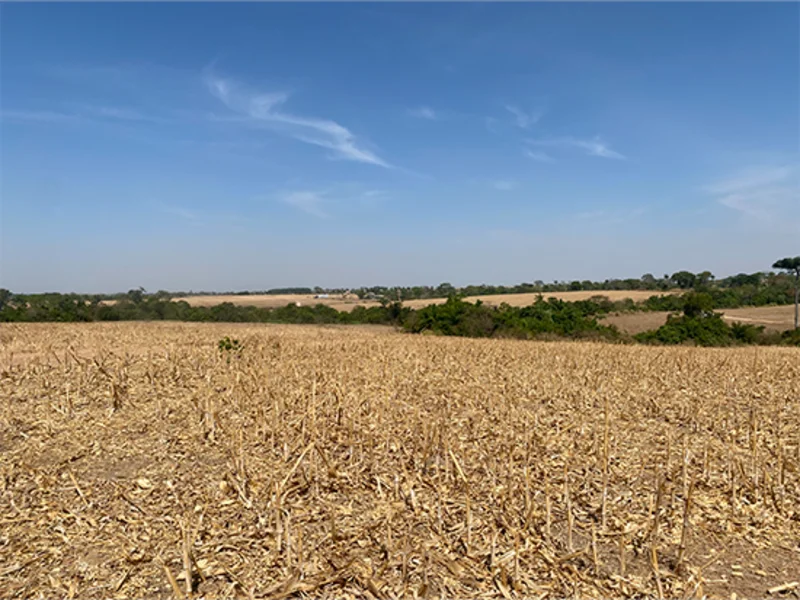 Terreno - Nova Guarita - MT — foto 2