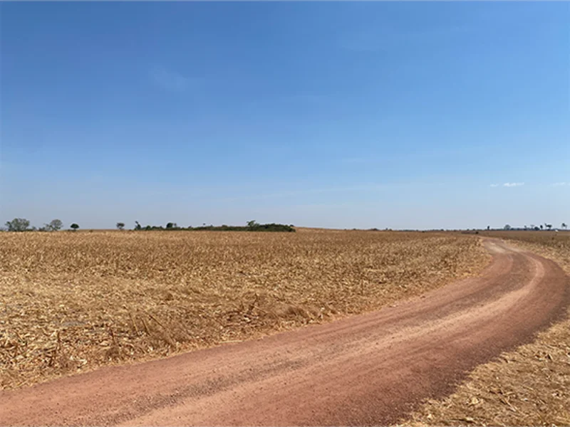 Terreno - Nova Guarita - MT — foto 3