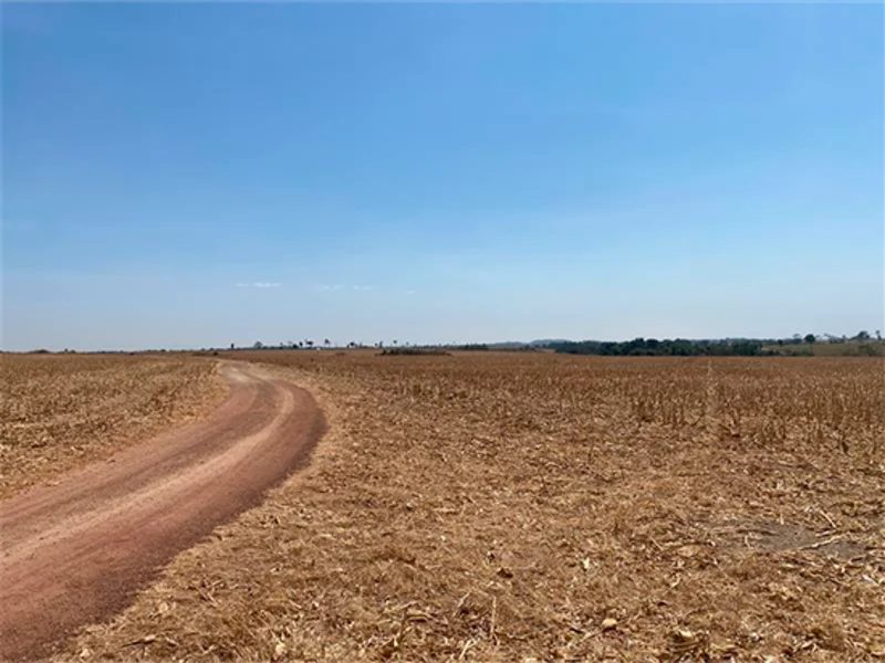 Terreno - Nova Guarita - MT — foto 4