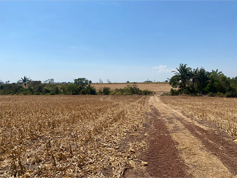 Terreno - Nova Guarita - MT — foto 5