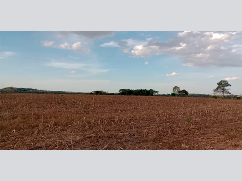 Terreno - Nova Guarita - MT — foto 3