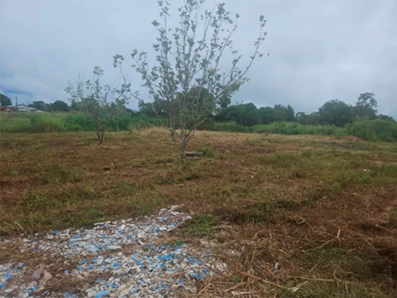 Terreno - Rurópolis - PA — foto 4