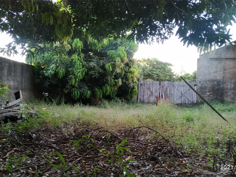 Terrenos - São Geraldo do Araguaia - PA