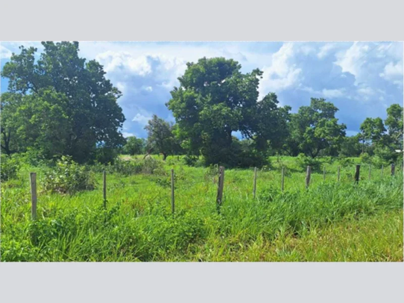 Terreno - Cuiabá - MT — foto 3