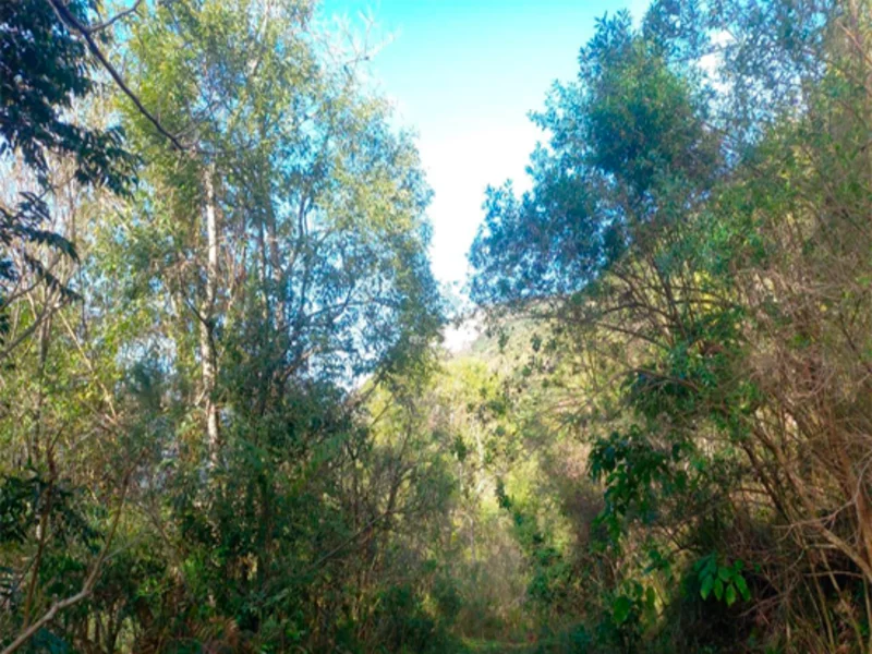 Terreno - Caxias do Sul - RS — foto 4