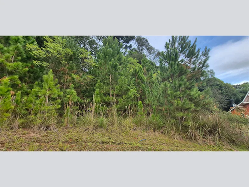 Terreno - Nova Petrópolis - RS — foto 2