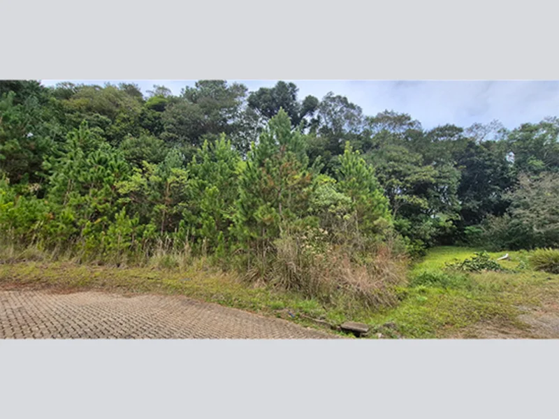 Terreno - Nova Petrópolis - RS — foto 4