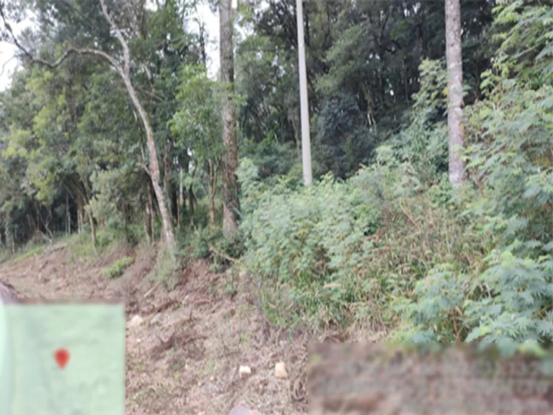 Terreno - Flores da Cunha - RS