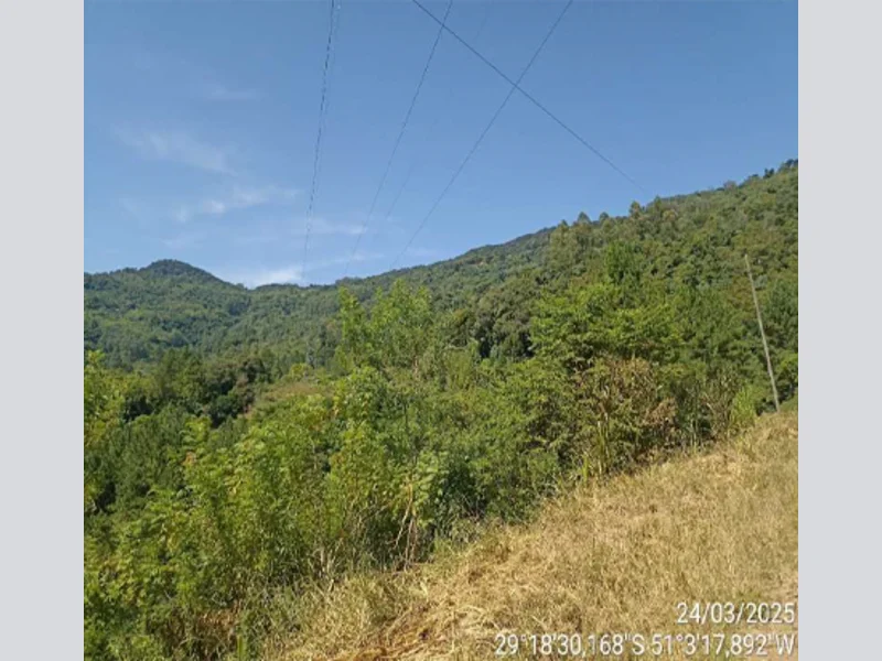 Terreno - Nova Petrópolis - RS — foto 5
