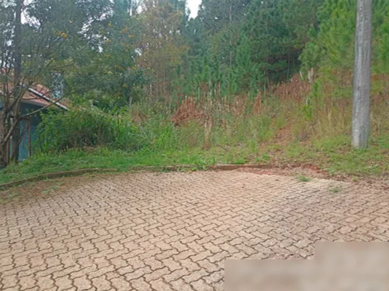 Terreno - Nova Petrópolis - RS — foto 5