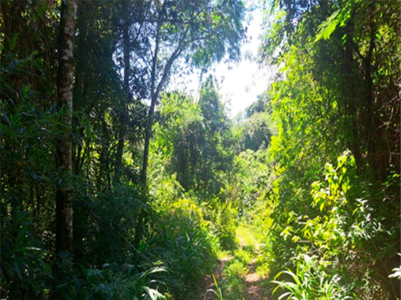 Terreno - Bento Gonçalves - RS — foto 2