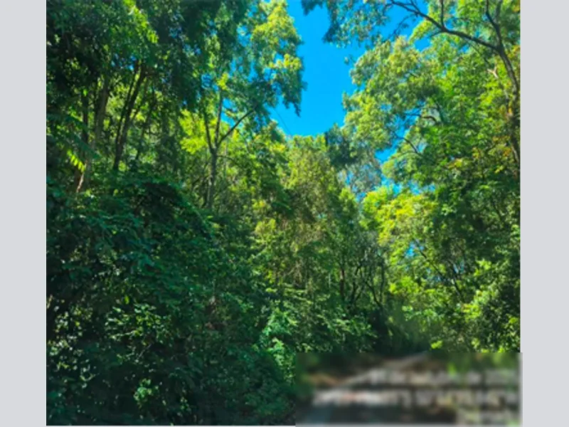 Gleba - Gramado - RS — foto 2