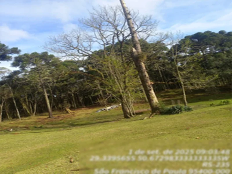 Terreno - São Francisco de Paula - RS — foto 4