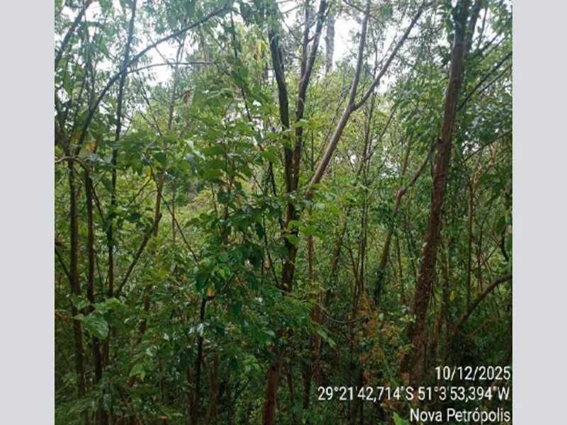 Terreno - Nova Petrópolis - RS — foto 4