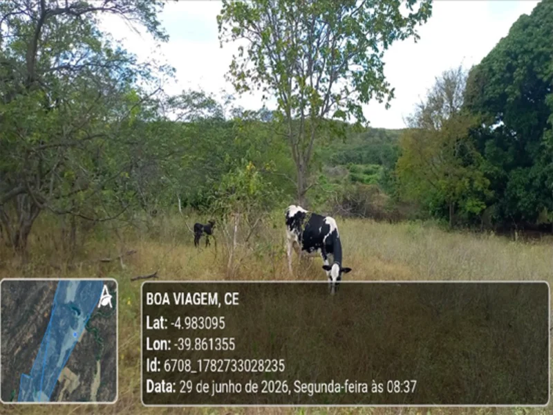 Terreno - Boa Viagem - CE — foto 5