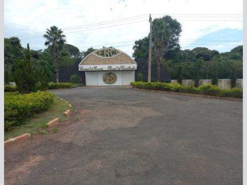 Terrenos - Cassilândia - MS