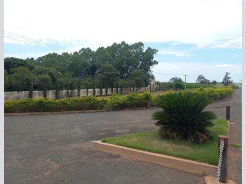 Terrenos - Cassilândia - MS — foto 3