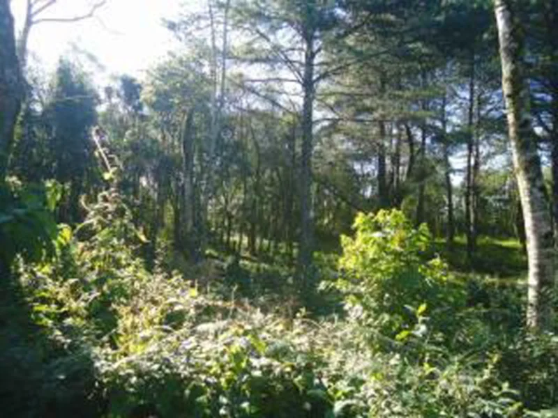Terreno - Gramado - RS