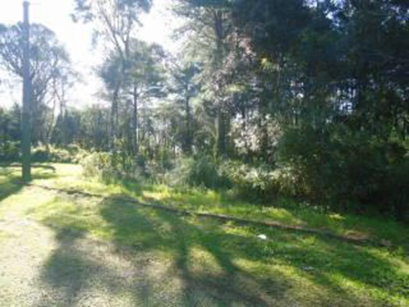 Terreno - Gramado - RS — foto 3