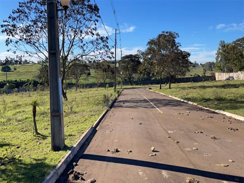 Loteamento - Pérola - PR — foto 4