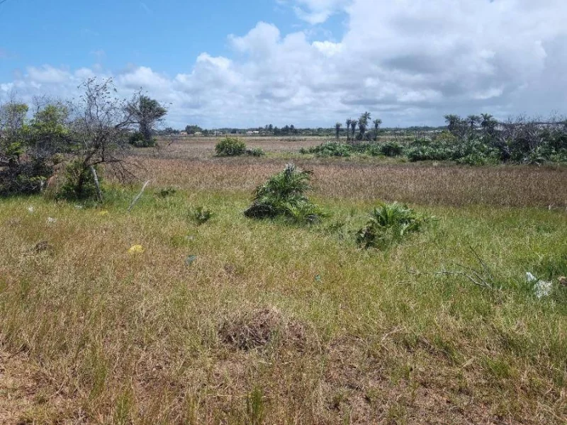 Terreno - Itaporanga D'ajuda - SE — foto 3