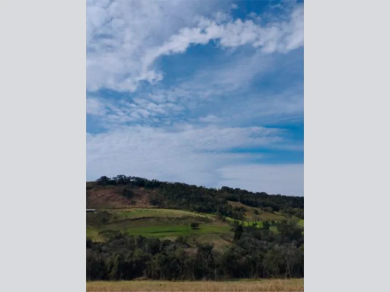 Sítio - Saltinho - SC — foto 4