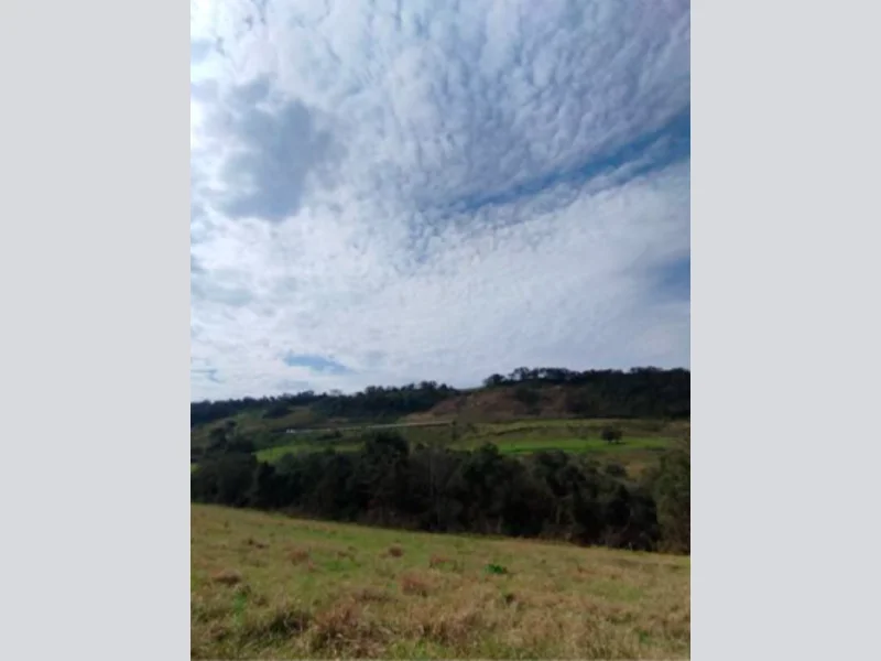Sítio - Saltinho - SC — foto 5